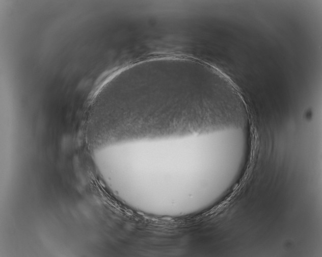 X0000116271215200911301008