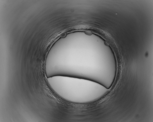X0000116271217200911301008