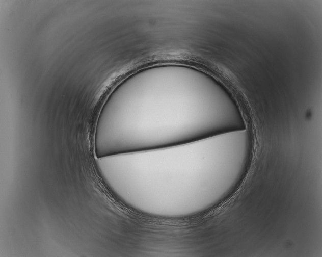 X0000116271218200911301008