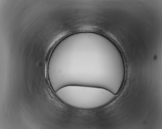 X0000116271219200911301008