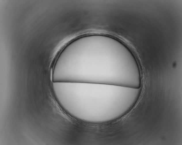 X0000116271223200911301009