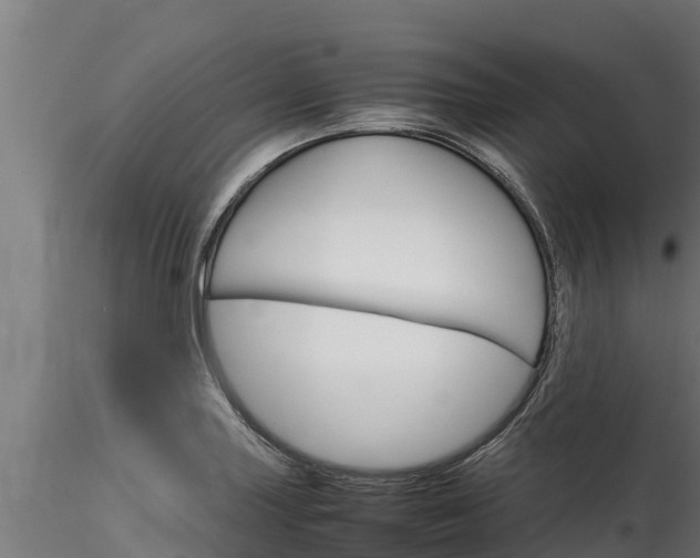 X0000116271227200911301009
