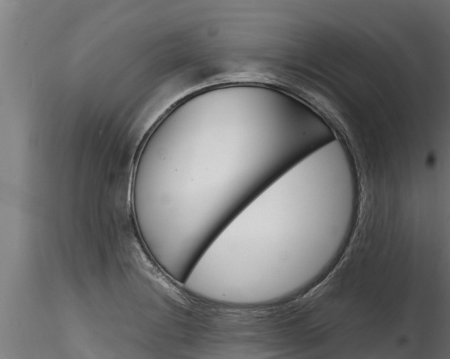 X0000116271228200911301009