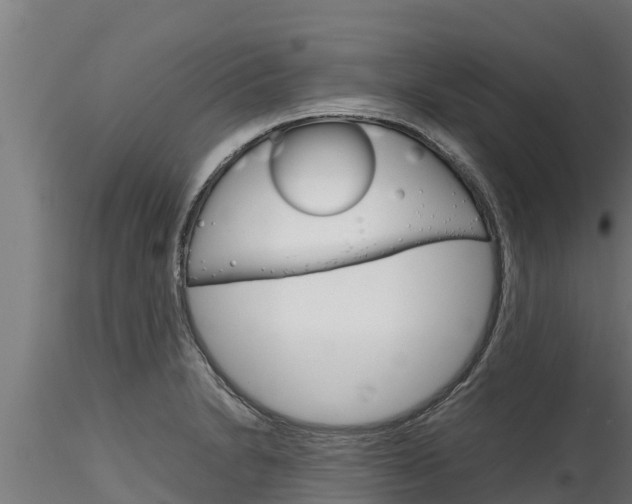 X0000116271230200911301009