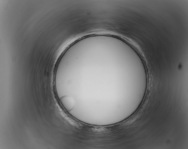 X0000116271231200911301009