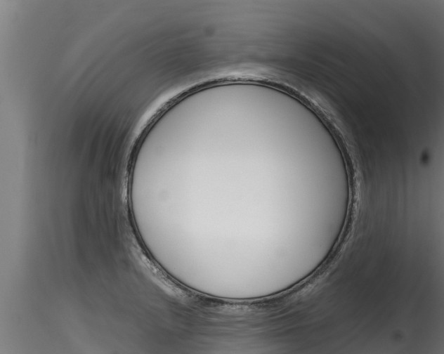 X0000116271232200911301009