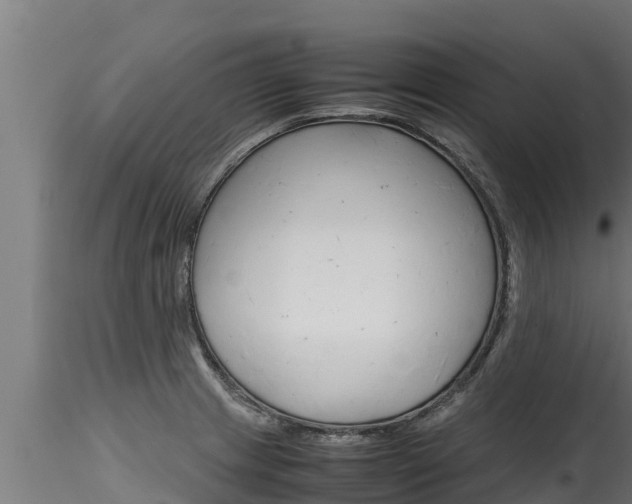 X0000116271233200911301009