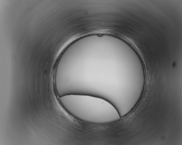 X0000116271235200911301009