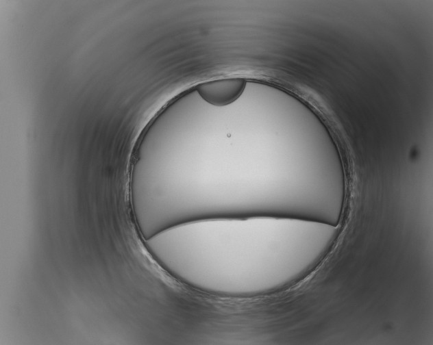 X0000116271236200911301009