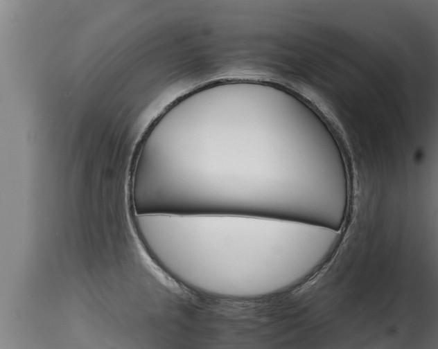 X0000116271237200911301009