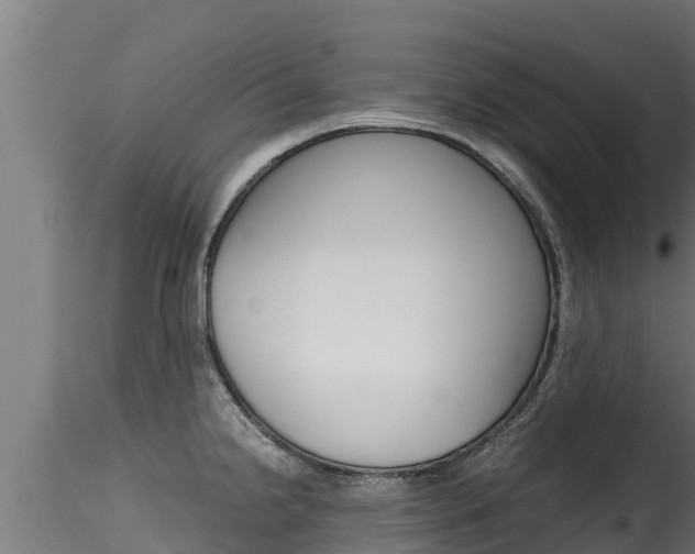 X0000116271238200911301009
