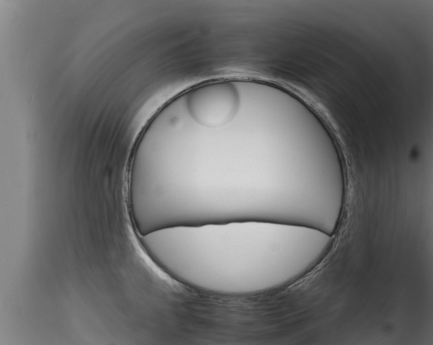 X0000116271239200911301009