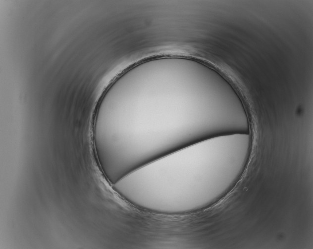 X0000116271240200911301009
