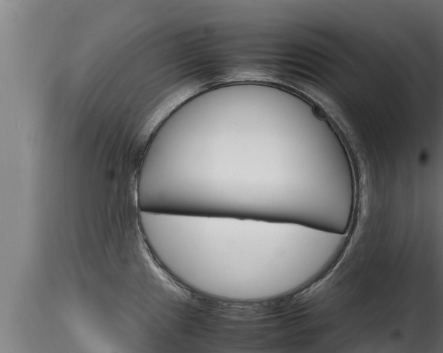X0000116271241200911301009