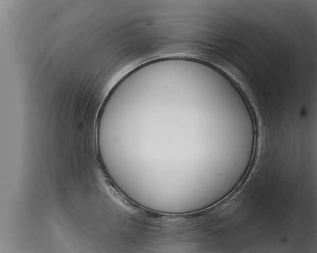 X0000116271242200911301009