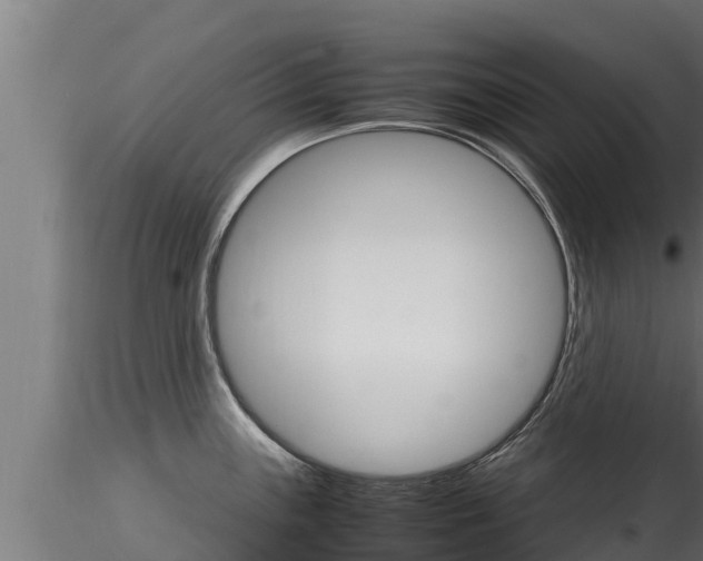 X0000116271243200911301009