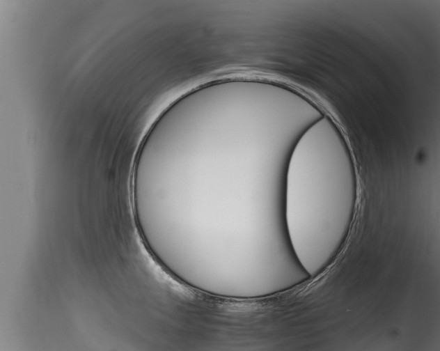 X0000116271247200911301009