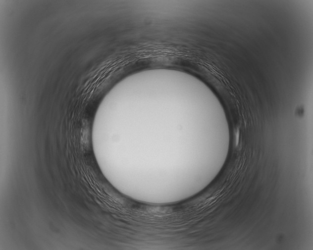 X0000116271251200911301008