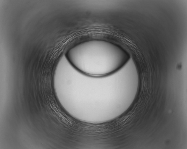 X0000116271252200911301008