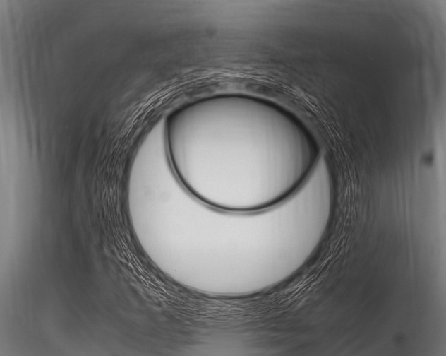 X0000116271253200911301008