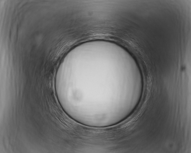 X0000116271257200911301008