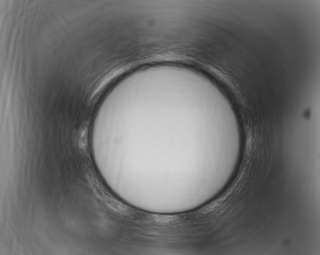 X0000116271258200911301008