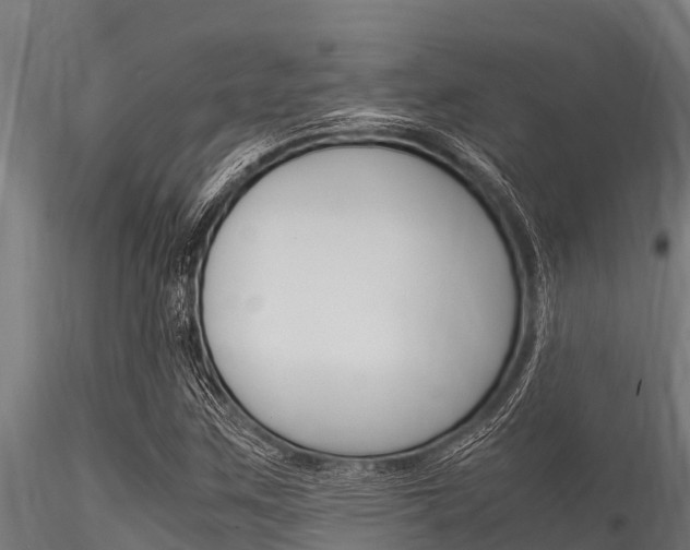 X0000116271259200911301008