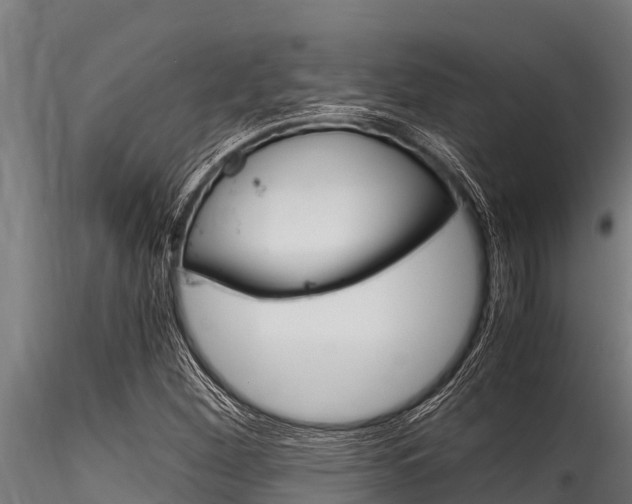 X0000116271260200911301008