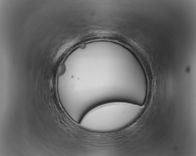 X0000116271261200911301008