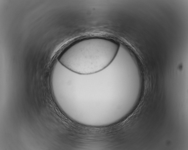 X0000116271262200911301008