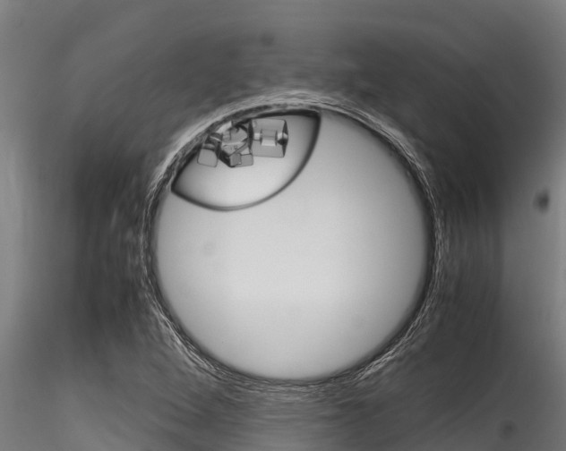 X0000116271264200911301008