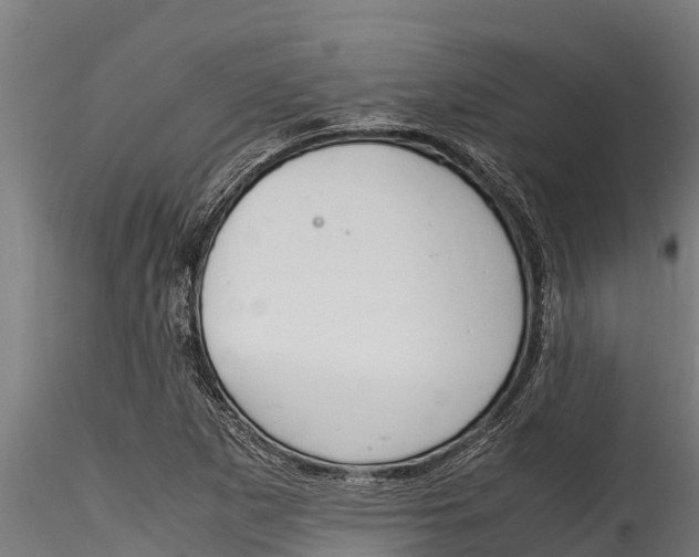 X0000116271265200911301008
