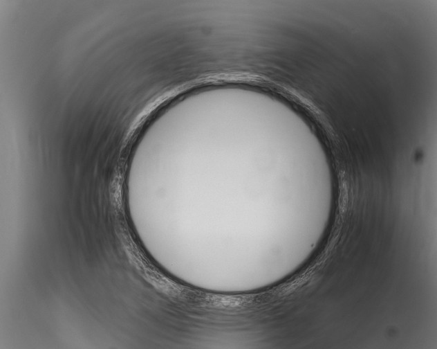 X0000116271266200911301008