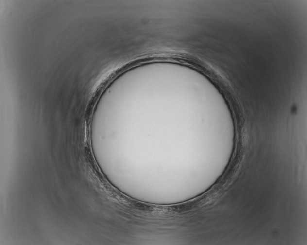 X0000116271267200911301008