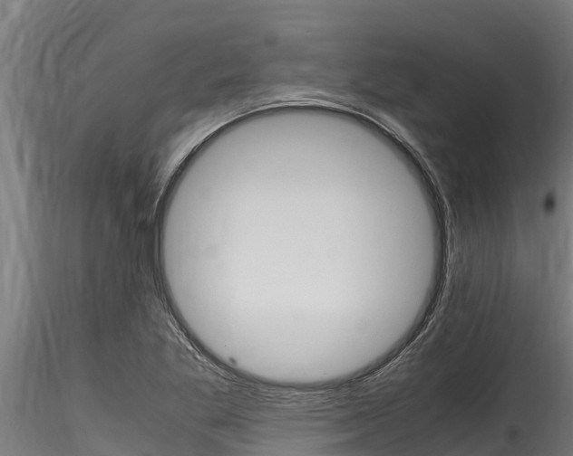 X0000116271269200911301008