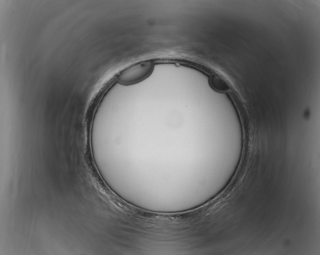 X0000116271270200911301008