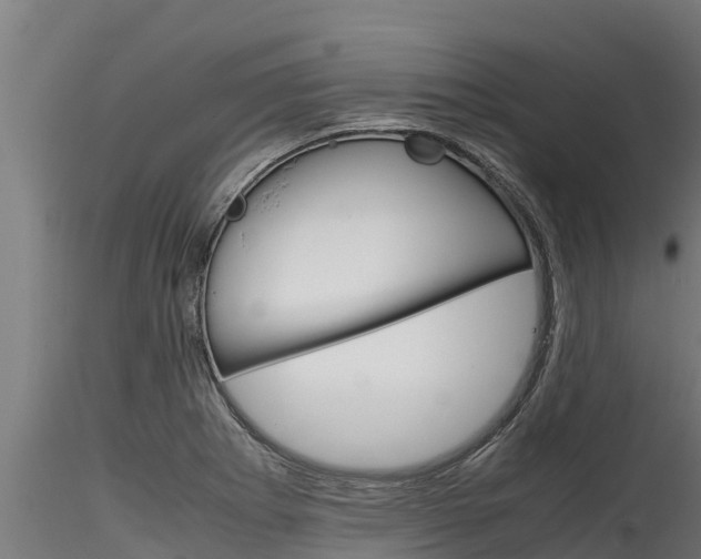 X0000116271273200911301008