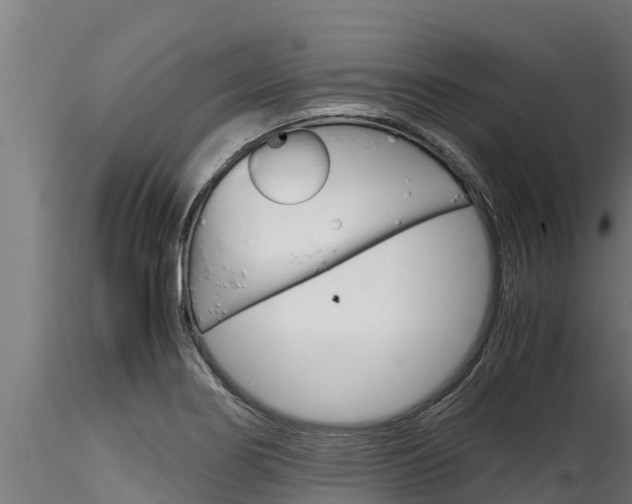 X0000116271274200911301008