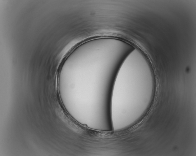 X0000116271275200911301008