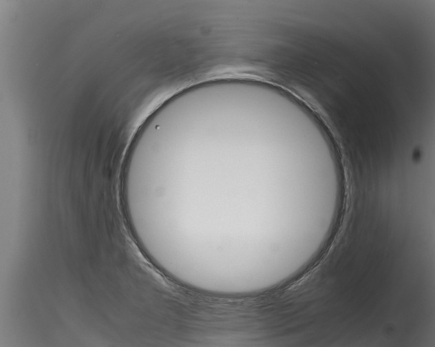 X0000116271277200911301008