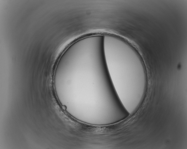 X0000116271279200911301008
