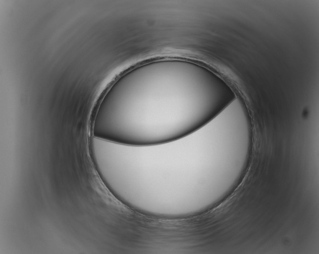 X0000116271280200911301008