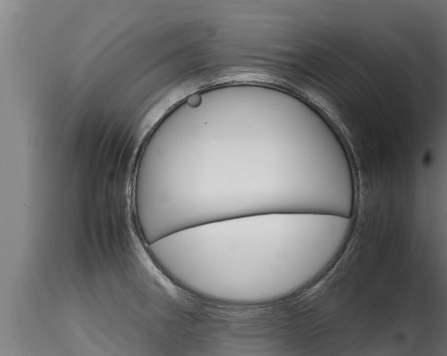 X0000116271282200911301008