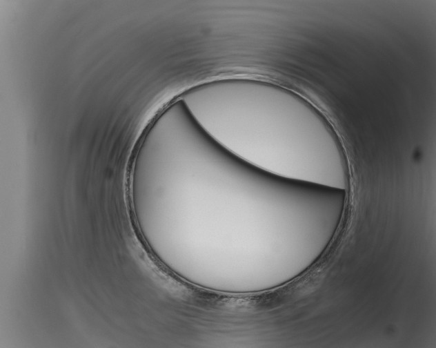 X0000116271283200911301008