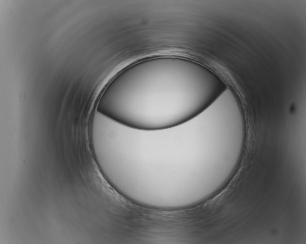 X0000116271284200911301008