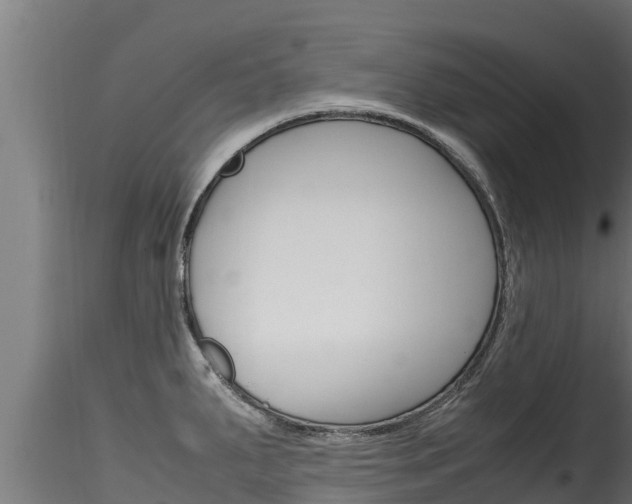 X0000116271287200911301008