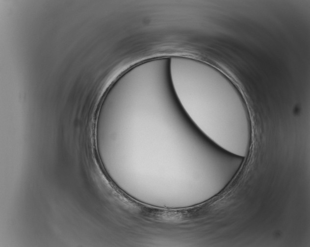 X0000116271291200911301007