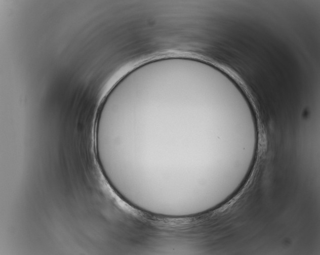 X0000116271294200911301007