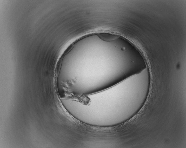 X0000116271296200911301007