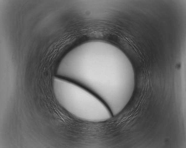 X0000116271297200911301007